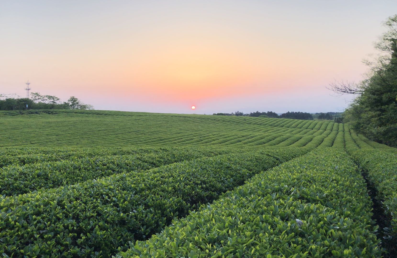大美赤山湖！（7）